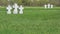 Crosses at German military memorial cemetery