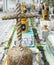 Crosses at Mexican cemetery