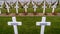 Crosses in the Verdun cemetery in France