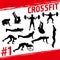 Crossfit concept