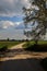 Crossing between a country road and a gravel path with a tree marking it in the italian countryside in spring