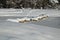 Crossing frozen lake on snowy rocks in winter scenic idyll in Kranjska Gora in blue sky, Slovenia