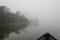 Crossing the Moa river by canoe to Tiwai Island Wildlife Sanctuary during foggy early morning, Sierra Leone, Africa