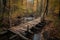 crossing a rickety wooden bridge over a babbling creek in autumn forest