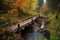 crossing a rickety wooden bridge over a babbling creek in autumn forest
