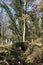 Crossing between trail in a park over an old brick footbridge next to a tiny dry channel in a forest on a winter day