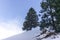 Crossing the woods while ski touring in the mountains and forest above Bruelisau in the Swiss Alps