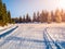 Crossroad of cross country skiing tracks in winter forest landscape on sunny day, Jizera Mountains, Czech Republic