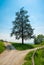 Crossroad with a lonely tree on a hill, rural landscape