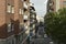 Crossroads in the city with parked cars and leafy trees