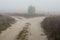 Crossroads of forest dirt roads in fog