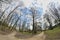 Crossroads path in a public park trees in a public park no leaves fisheye lens