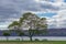 Croton-on-Hudson, New York, USA: Trees and picnic tables along the Hudson River