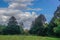 Croton-On-Hudson, New York: Yew Trees in Croton Point Park