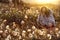 Crouched young girl on a field in flower during sunset