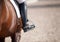 Croup of a red horse with a white saddle and a riderâ€™s foot in a boot with a spur inserted in a stirrup