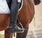 Croup of a red horse with a white saddle and a riderâ€™s foot in a boot with a spur inserted in a stirrup