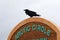 Crow on Arctic Circle marker in northern Canada