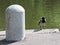 The crow on the bank of  pond, stone pillar  in  park in  Kotka, Finland