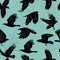 Crow birds. Flying ghotic birds silhouettes recent vector dark animals