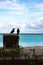 Crow Couple on a Sundeck Chair