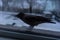 Crow eating outside the window in winter