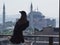 Crow in Istanbul