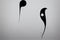 Crow minimal black and white icon. Minimalistic tattoo idea. Modern company logo. Silhouette of raven. Isolated mascot