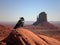 Crow in Monument Valley