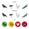 Crow, ostrich, chicken, peacock. Birds set collection icons in cartoon,flat,monochrome style vector symbol stock