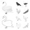 Crow, ostrich, chicken, peacock. Birds set collection icons in outline,monochrome style vector symbol stock illustration