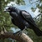 Crow perched on tree branch. AI Generative