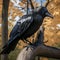 Crow perched on tree branch. AI Generative