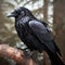 Crow perched on tree branch. AI Generative