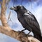 Crow perched on tree branch. AI Generative