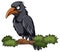 Crow perching on tree branch in cartoon style