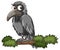 Crow perching on tree branch in cartoon style