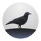 Crow Raven With Wide-Spread Wings Black Beak Nature Feather Wild Dark Bird