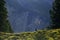 Crow romanian shepard dog in Kandersteg mountains. Switzerland