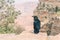 Crow sitting on the edge of rock, Grand Canyon National Park