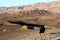 A crow sitting on the ground of death valley, looking at the desert ahead