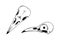 Crow skull sketch fornt and side view. Halloween skull for spooky designs. Vector illustration