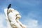 Crow on statue The Spartacus Oath in the Tuileries Gardens in Pa