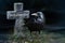 Crow and stone cross on the graveyard at night, halloween