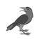 Crow vector illustration style Flat profile