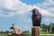 Crow at Zaanse Schans