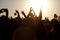 The crowd enjoys the summer music festival, sunset, the silhouettes hands up