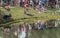 Crowd on a hillside waiting for a duck race