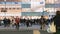 Crowd of Japanese people, commuter, traveler walk cross road at Shibuya scramble crossing