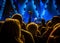 Crowd at music concert, people silhouettes backlit by stage lights.